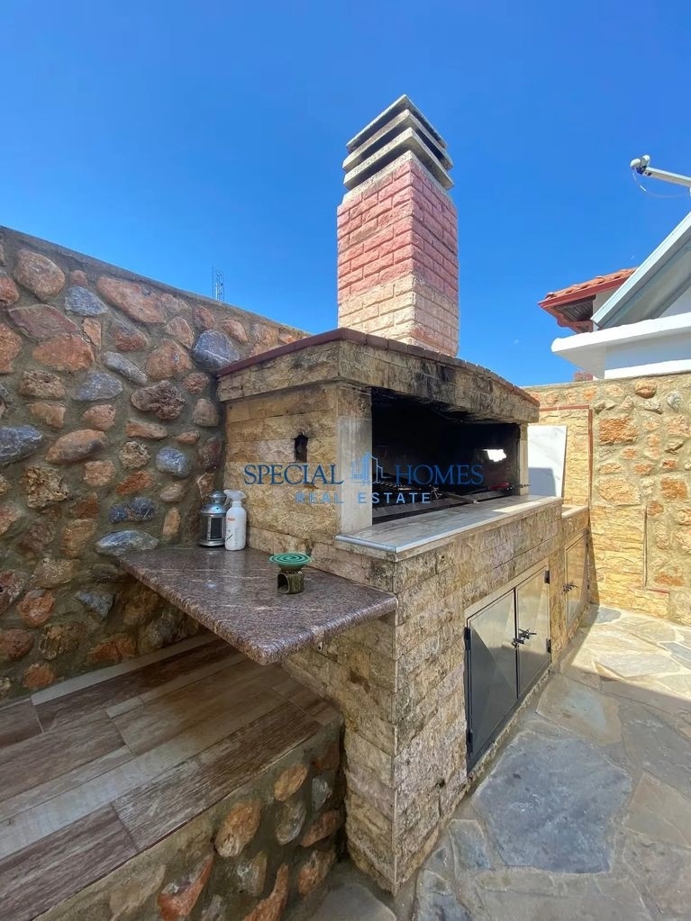 img_766ff79c-af0f-4173-8912-5892f7e06b11