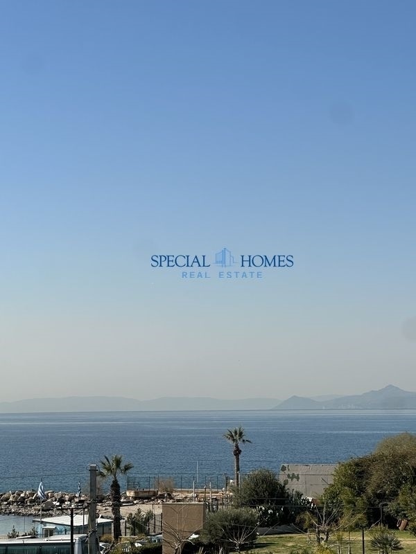 img_76742bd7-2cc7-4b0a-a5ec-6567f8b40aff