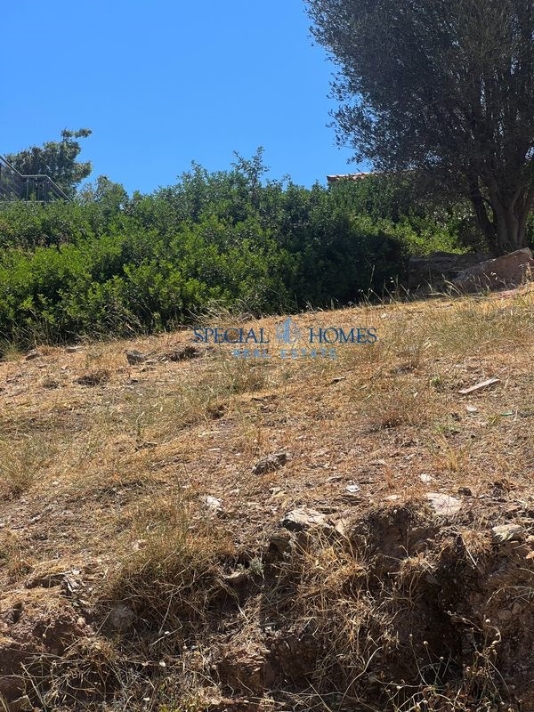 img_778fea20-bd19-4439-84ac-074e021a24d4