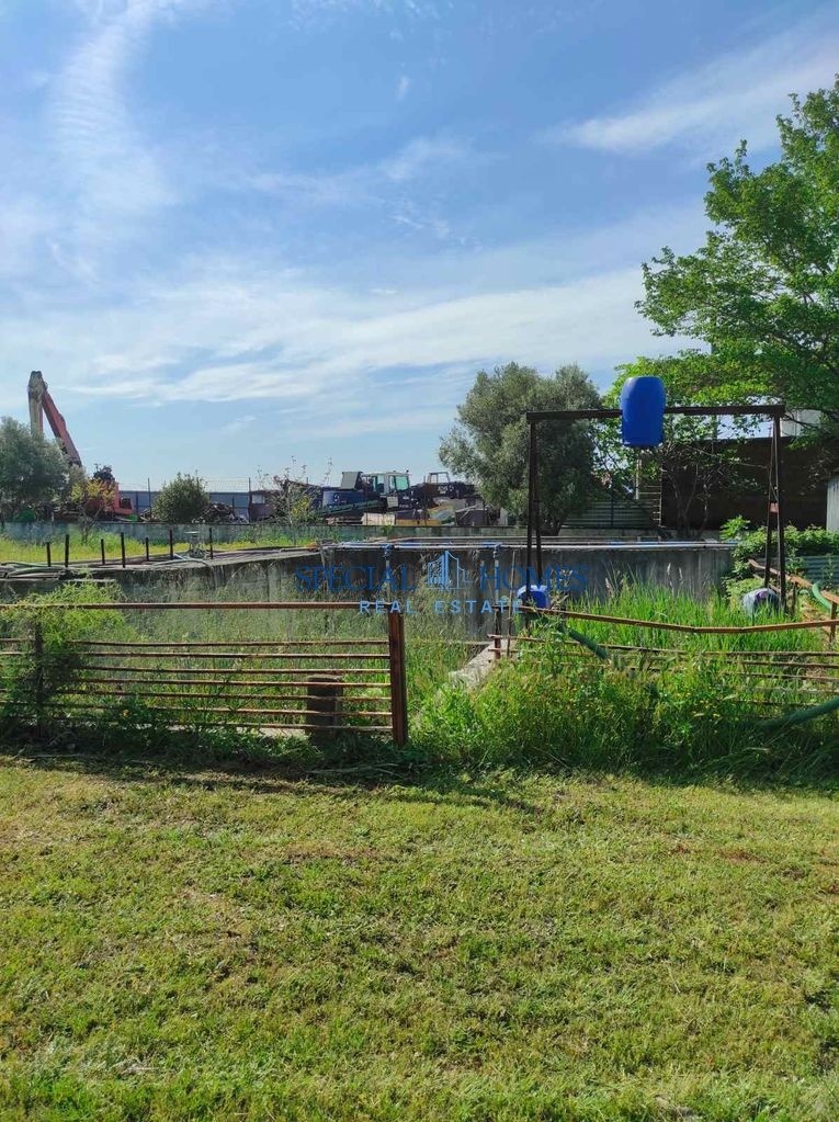 img_94f77151-8a67-40b7-9182-d8f33685b3eb