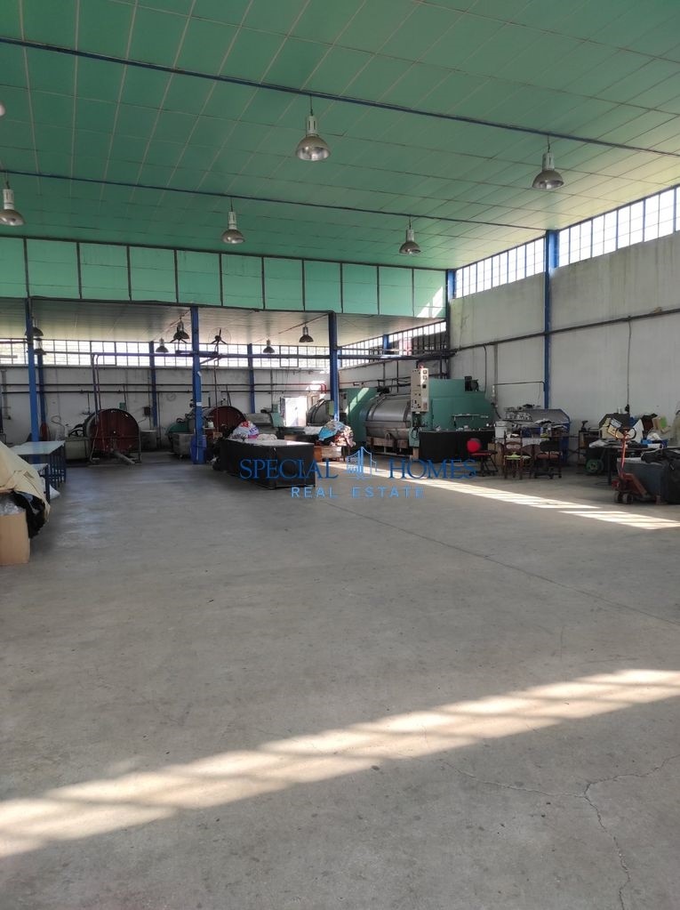 img_f77ca2fe-e941-4fd1-beff-daad8ed0cced